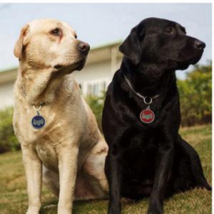 2018 vente chaude chien ou étiquettes d'identification de chat gravés ou QR Code Pet Tag