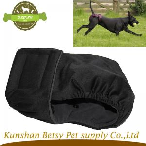 Pantalon de haute saison pour chien