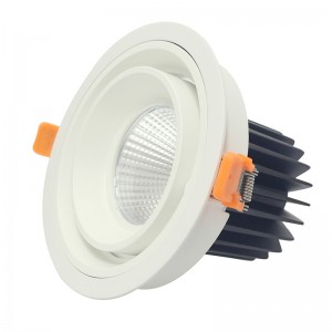 La lampe de plafond CEB 20W 30W de plafond de forme ronde et carrée de LED a enfoncé la lumière menée lumière de bâti de Ceilling