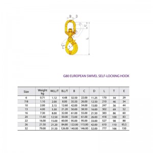 Crochet de sécurité pivotant à verrouillage automatique G80 peint