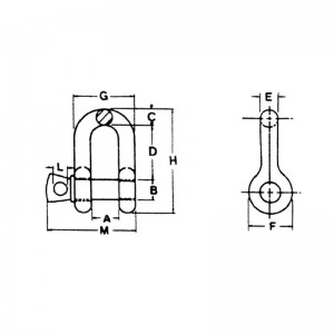 Manille US type à chaîne à axe de vis forgé