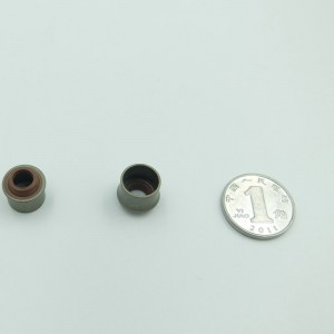 Chine usine FKM tige de valve en caoutchouc joint ruber joint d'huile pour moto