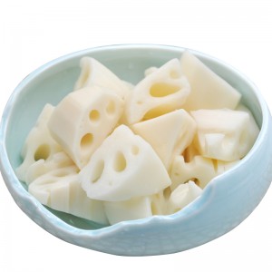 ROTO DE LOTUS CONGELÉ