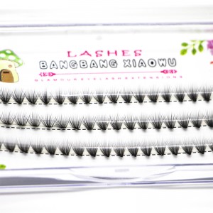 Extensions de cluster de cils de volume 2D à 20 D