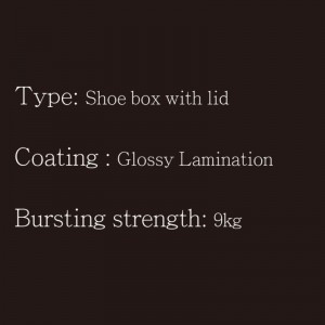 Boîte à chaussures avec couvercle de type1