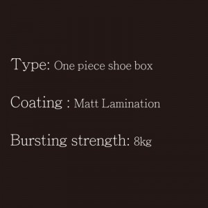 Boîte à chaussures une pièce type5