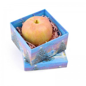 Fait à la main fait sur commande chaude vendant le meilleur emballage de boîte de cadeaux de Noël pour des enfants