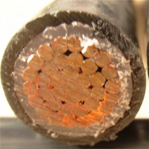 Câble d'alimentation résistant au feu de Frls de basse tension avec le conducteur de cuivre