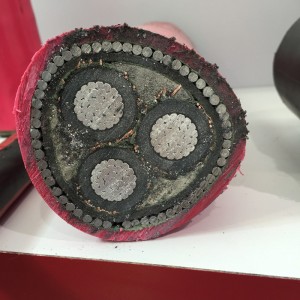 SANS 1339 câble blindé swa de 6 noyaux isolé XLPE de 6 mm pour des tensions nominales de 3.8 / 6.6 kV à 19/33 kV