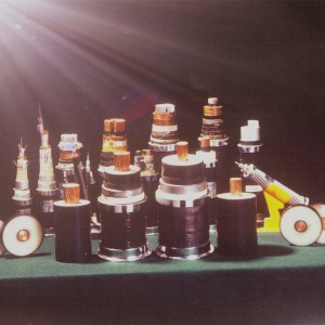 Câble simple de noyau de cuivre / aluminium 300mm 400mm avec la gaine en métal 220kv 110kv