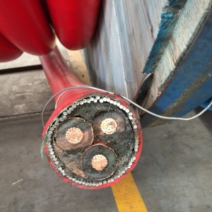 Câble blindé multi de noyau de tension moyenne avec le STA / SWA blindé