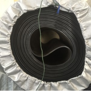 Bande transporteuse sans fin