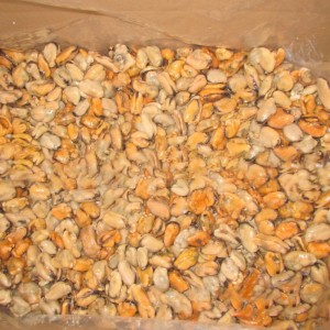 Chair de moules congelée