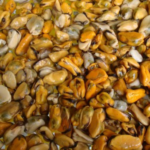 Chair de moules congelée