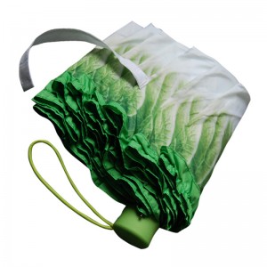 Parapluie de légumes de chou impression numérique spécial unique parapluie pluie parapluie manuel ouvert 3 fois