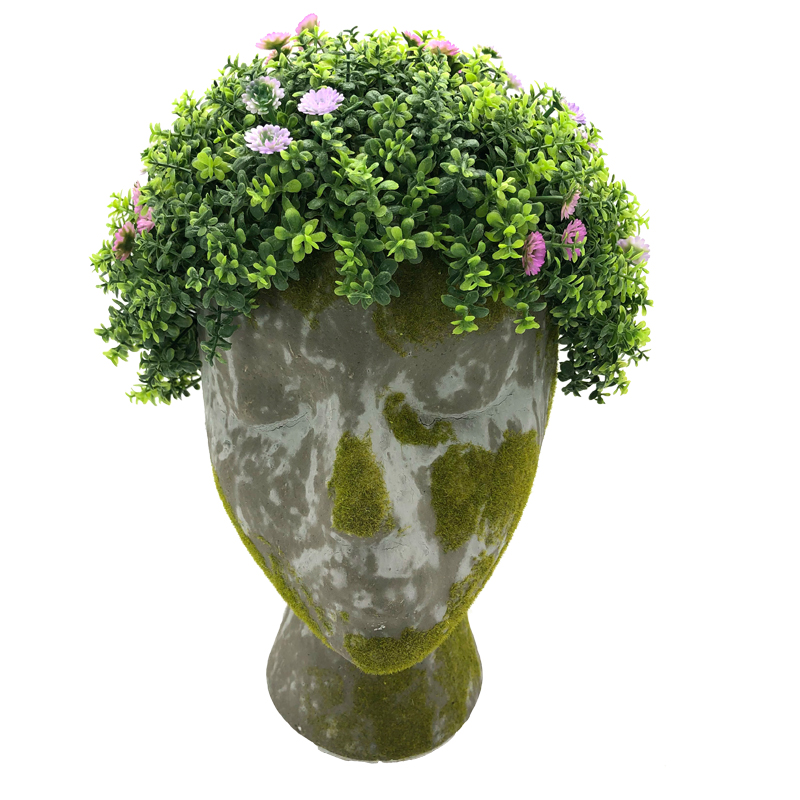 Plante succulente de cactus de Deciration de bureau principal de planteur de visage artificiel de visage