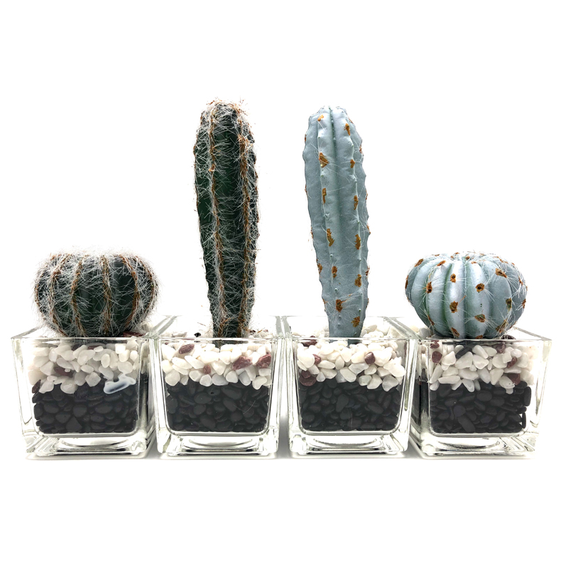 Cactus artificiel dans la décoration succulente de Faux de pot en verre décoratif pour la maison ou le bureau