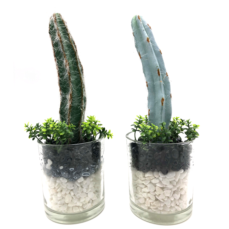 Cactus artificiel dans la décoration succulente de Faux de pot en verre décoratif pour la maison ou le bureau
