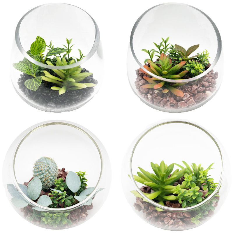 Plantes succulentes artificielles avec le vase décoratif d'affichage de globe de table en verre