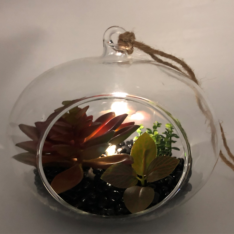 Plantes succulentes artificielles décoratives de table en verre de LED avec le vase d'affichage de globe