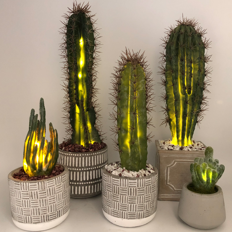 Cactus artificiel de LED dans la décoration succulente de Faux de pot en verre décoratif