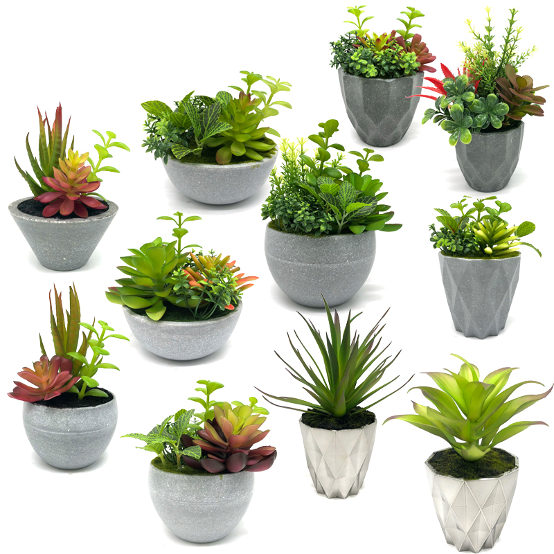 Mini plantes succulentes artificielles avec affichage décoratif de globe de table de pot décor à la maison