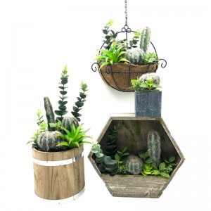 Cactus artificiel fixé pour la maison ou le bureau dans la décoration succulente de pot décoratif
