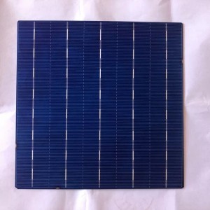 Cellule polycristalline