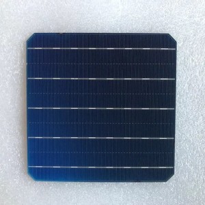 Cellule monocristalline