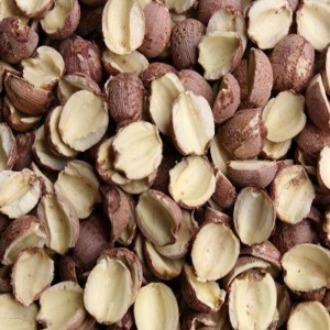 graine de lotus décapage machine à noyau ouvert