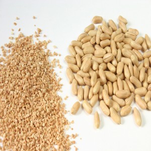 Cacahuète Chopper / Cacahuète Sec De Chopper