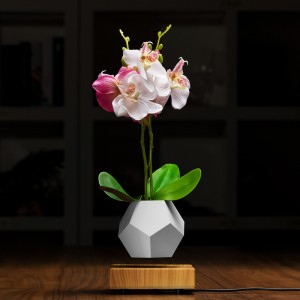 Planteurs de pots de bonsaïs à lévitation magnétique et à fond flottant PA-0708