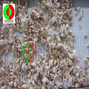 éplucheur à l'ail FT-1000