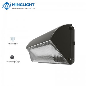 Luminaire mural LED, WPB2 80W