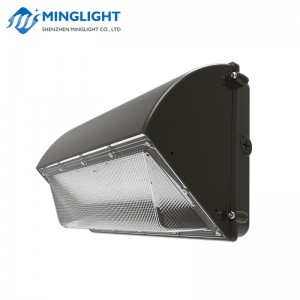 Lampe murale à LED WPB2 100W
