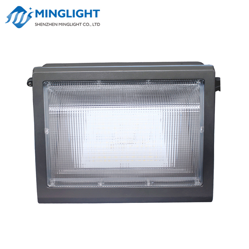 Lampe murale à LED WPB 100W