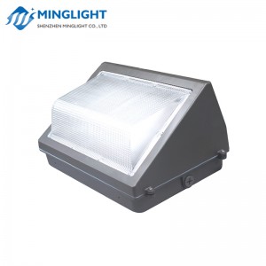 Lampe murale à LED WPB 100W