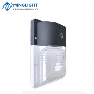 Pack Applique Murale LED WPA 13W