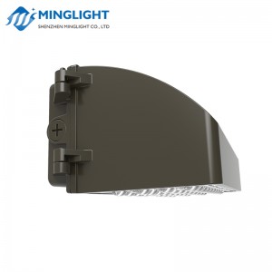 Pack Applique Murale LED WPC2 60W