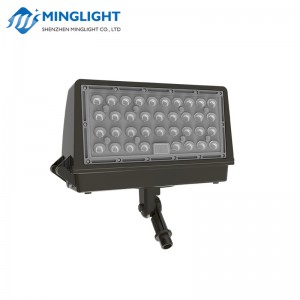 Pack Applique Murale LED WPC2 60W