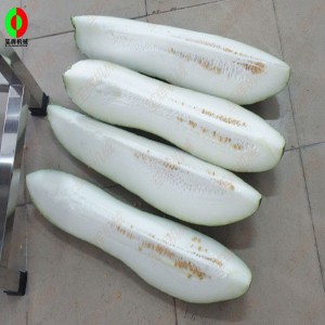 Découpeuse de fruits / découpeuse de fruits de melon QD-1000