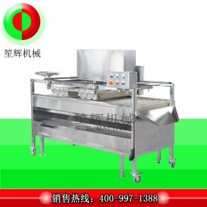 Fruit Cleaner / Fruit Cleaner / Fruit Brush Cleaner (nettoyage en profondeur) QM-2