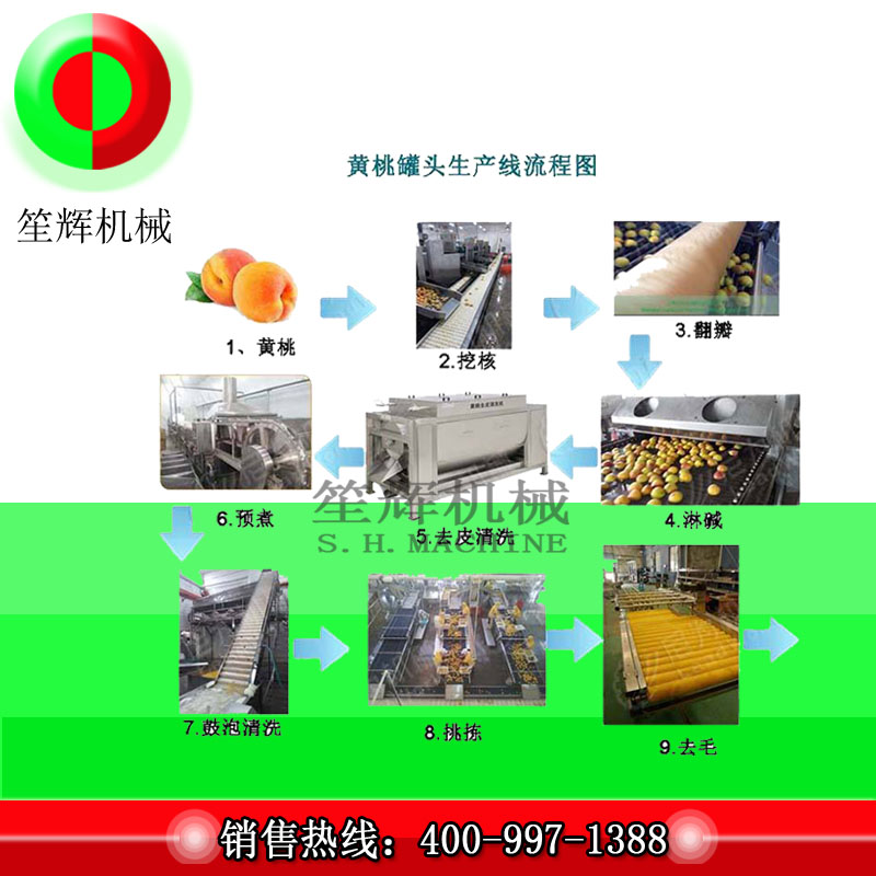 Grande chaîne de production de transformation de fruits / chaîne de production de transformation de pêche jaune