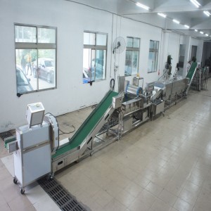 Gros poireaux tuant la chaîne de production