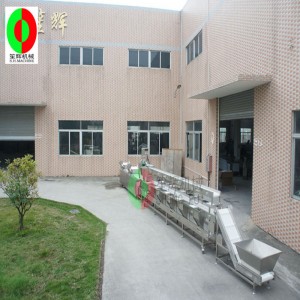 Machine à laver de légume multifonction / chaîne de production de machine à laver de légume / tri-couche triant la chaîne de production de traitement de légume propre