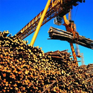 Grue à portique avec griffe