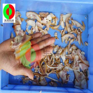 Trancheuse à viande automatique / trancheuse à viande multifonction / trancheuse à viande de bureau de taille moyenne QH-500