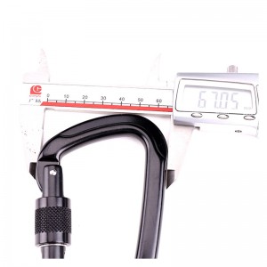 Alliage d'aluminium pour extérieur avec mousqueton à boucle de type D pour alpinisme