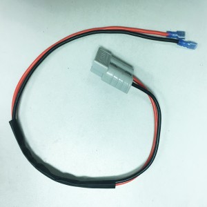 CABLE AUTO 02