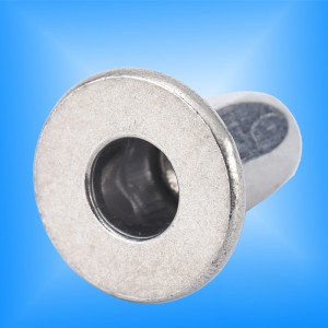 Pièces automobiles écrous à rivets